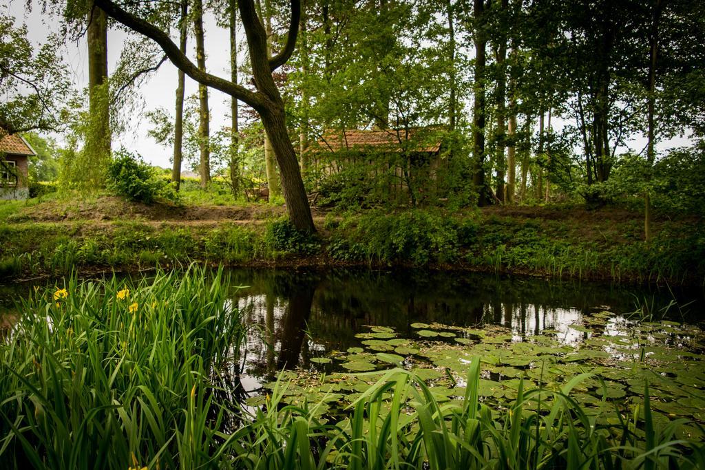 Thil'S Bed And Breakfast Ambt Delden Exterior foto